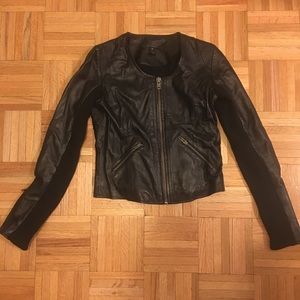 Scoop NYC Leather & Cotton Blend Moto Jacket